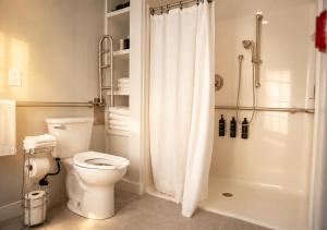 a bathroom with a toilet and a shower at The Cape Club Golf Resort in Falmouth +17 photos