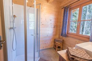 a bathroom with a shower and a sink at Steineralm in Schwersberg