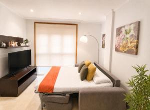 a living room with a bed and a flat screen tv at RELAX VIVEIRO in Viveiro