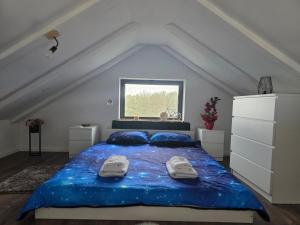 a bedroom with a large blue bed with blue pillows at The Dream house in Tomaš +25 photos