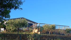 a house with a fence and trees in front of it at Casa Do Olival in São João da Pesqueira
