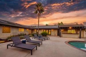 a patio with lounge chairs and a palm tree at Casteel - 4,500 sq-ft retreat with a pool and hot tub in the middle of wine country! in Templeton