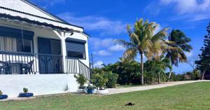 a house with a palm tree next to a sidewalk at Eco-Nature Studio in Petit-Canal