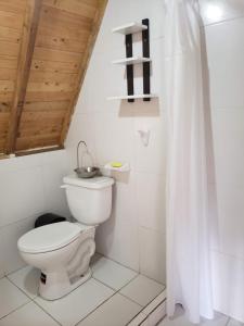 a bathroom with a toilet and a shower curtain at Finca Masada in Mira +18 photos