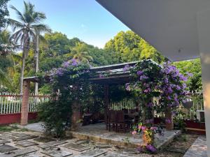 a garden with a pergola with purple flowers at Cabañas Turísticas Castrolandia in San Antero