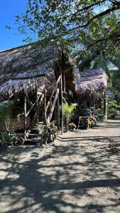 a hut with a straw roof and stairs to it at Coco House - Playa La Barra in Buenaventura