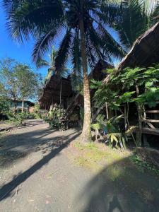 a palm tree in front of a resort with a building at Coco House - Playa La Barra in Buenaventura