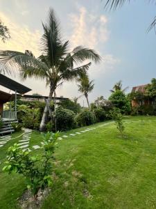 a green yard with palm trees and a house at Homestay GETA House in Ấp Thanh Sơn (1)