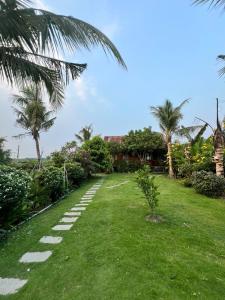 a lawn with stepping stones in a yard with palm trees at Homestay GETA House in Ấp Thanh Sơn (1)
