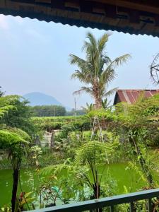 a view of a garden with a palm tree at Homestay GETA House in Ấp Thanh Sơn (1) +1 photo