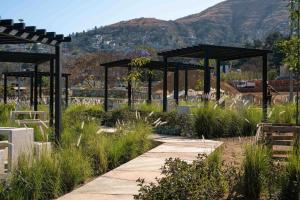 a garden with a pathway and a mountain in the background at Torre 23 in Oaxaca City
