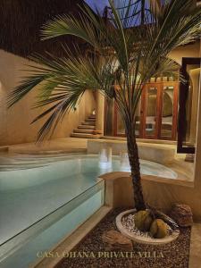 a palm tree sitting next to a swimming pool at CASA Ohana Private Villa in Thai Muang