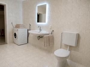 a bathroom with a toilet and a sink and a washing machine at Monteurwohnung Landshut in Vilsheim