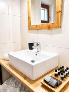 a bathroom with a white sink and a mirror at Rezidenca Korman in Fala +35 photos