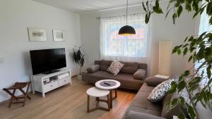 a living room with a couch and a flat screen tv at Wohlfühlapartments Steiner in Altmünster