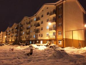 エストサドクにあるКвартира на Эстонскойの雪道