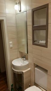 La salle de bains est pourvue d'un lavabo, d'un miroir et de toilettes. dans l'établissement Apartment Avenzio, à Wurtzbourg