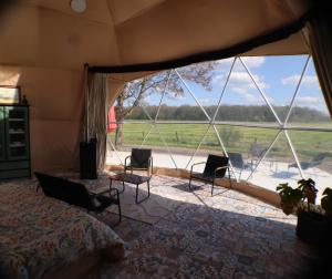 a room with a bed and chairs and a large window at Nuit Insolite dôme Reinette tout confort in Châtenois +7 photos