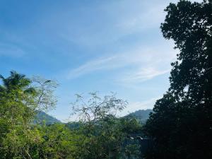a view of a forest of trees with a blue sky at Shanuka homes in Mawanella