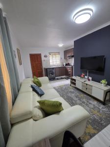 a living room with a couch and a flat screen tv at One Bedroom Apartment B in Kempton Park