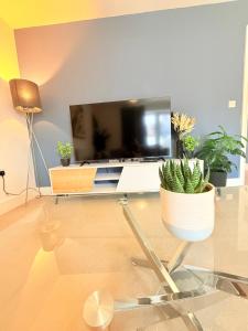 a living room with a tv and a chair with plants at The Vine in Powick