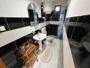 a bathroom with a sink and a toilet and a mirror at Apartments Avram in Vršac +18 photos