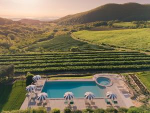 an aerial view of a vineyard with a pool and umbrellas at Tuscan Relais Il Serraglio in Montepulciano