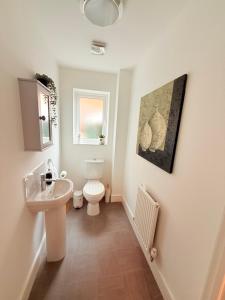 a bathroom with a toilet and a sink at The Vine in Powick +35 photos