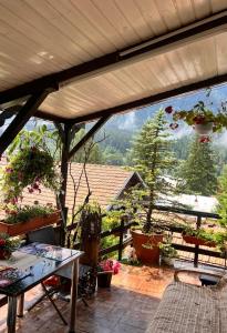 a patio with a table and potted plants on it at Apartament Casa cu Flori de Munte in Buşteni
