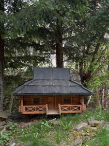 a log cabin with a black roof in the woods at Guest House Danver in Yaremche