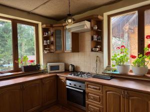 a kitchen with wooden cabinets and a stove top oven at Guest House Danver in Yaremche