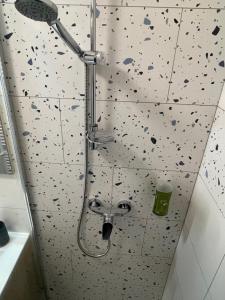 a shower in a bathroom with a shower head at Barvicka in Třemošná +51 photos