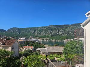 a view of a city with a river and mountains at Žana in Kotor +9 photos