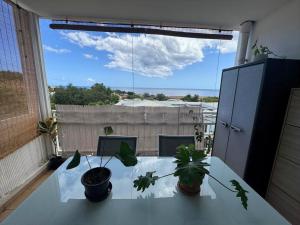 a table with two potted plants on top of it at Rayon de vacances T3 spacieux et bien équipé in La Possession