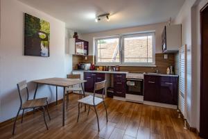 a small kitchen with a table and chairs in it at U Moto Makovic in Horažďovice