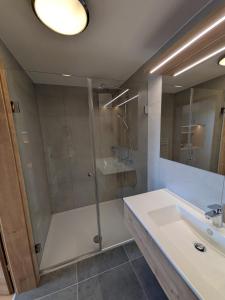 a bathroom with a shower and a sink at Pension Holzapfel in Sankt Georgen im Attergau +52 photos