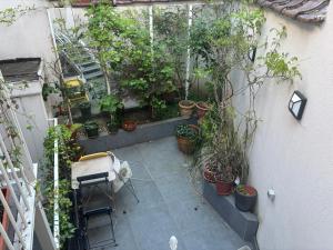 an indoor garden with potted plants in a greenhouse at partie jasmin in Brussels