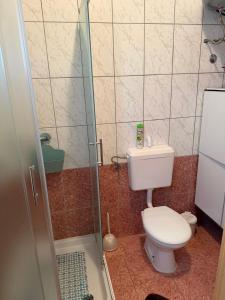 a small bathroom with a toilet and a shower at Apartments Sandra in Novigrad Istria