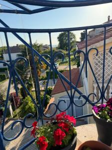 a balcony with two pots of flowers on a balcony at Apartments Sandra in Novigrad Istria
