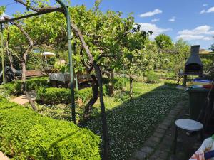 a garden with a small tree and a bench at Apartments Sandra in Novigrad Istria