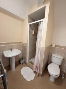 a bathroom with a toilet and a sink and a shower at The Avenue GuestHouse in Newcastle upon Tyne