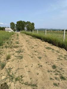 a dirt road in a field next to a fence at Camping Ohel in Mullini i Danit