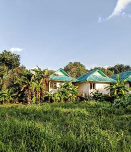a house with green roofs in a field of grass at Lake view house in Ko Phangan