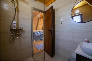 a bathroom with a shower and a sink and a mirror at Rural Resort Tron Gold in Plužine +44 photos