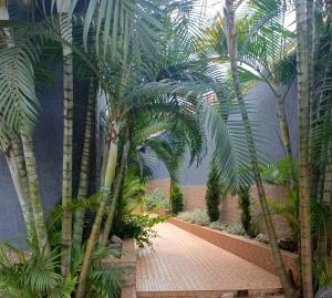 a courtyard with palm trees in a building at Cameo Villa in Kigali