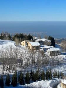 a snow covered yard with trees and a building at Alto Faqra in Brummānā