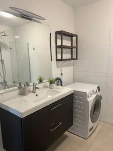 a bathroom with a sink and a washing machine at Aaberg Lounge in Waldshut-Tiengen