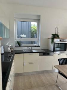 a kitchen with a sink and a window in it at Aaberg Lounge in Waldshut-Tiengen