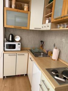 a small kitchen with a sink and a microwave at Apartman Biljana in Rafailovici +4 photos