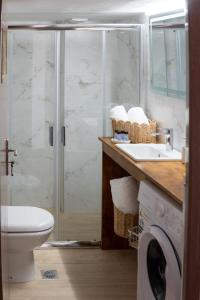 a bathroom with a shower and a toilet and a sink at Aura 2 Apartment in Vathý